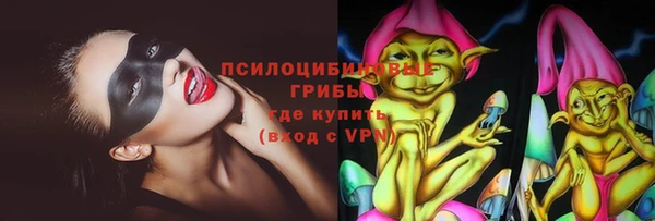 стаф Новодвинск