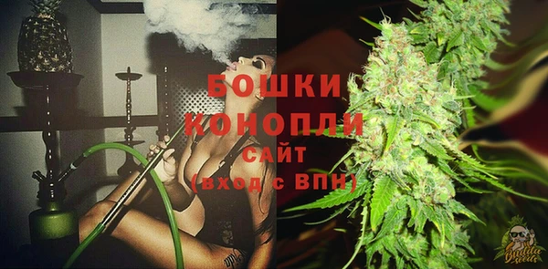 стаф Новодвинск