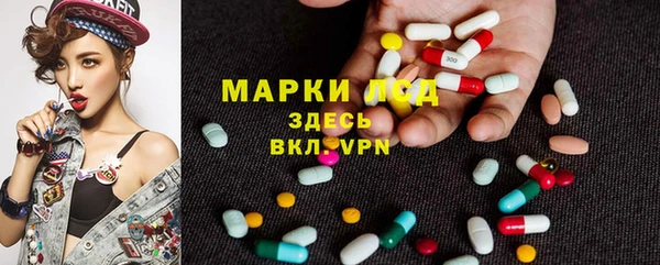 ALPHA PVP Новозыбков