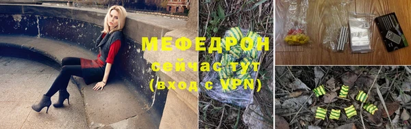 стаф Новодвинск