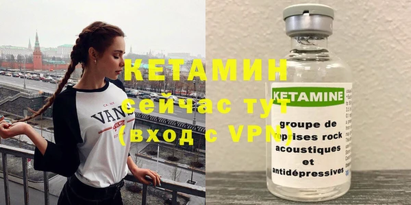 стаф Новодвинск