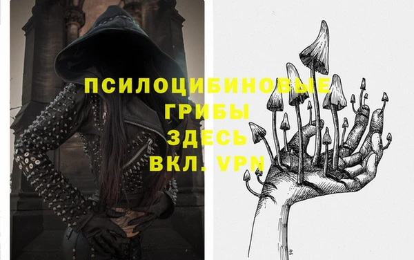 стаф Новодвинск