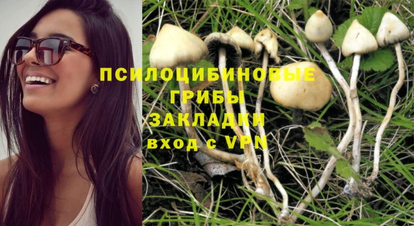 spice Новокубанск