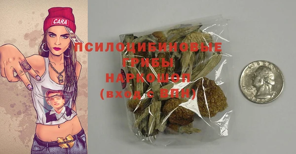 ALPHA PVP Новозыбков