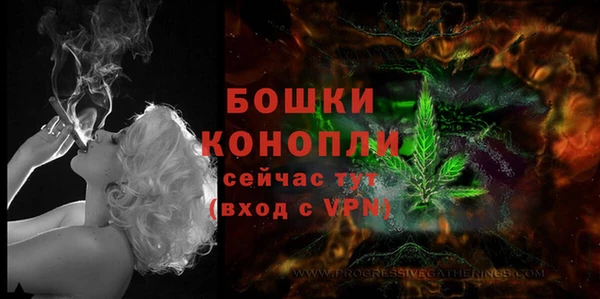 стаф Новодвинск