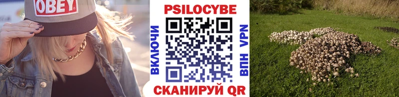 Галлюциногенные грибы мухоморы  Поворино 